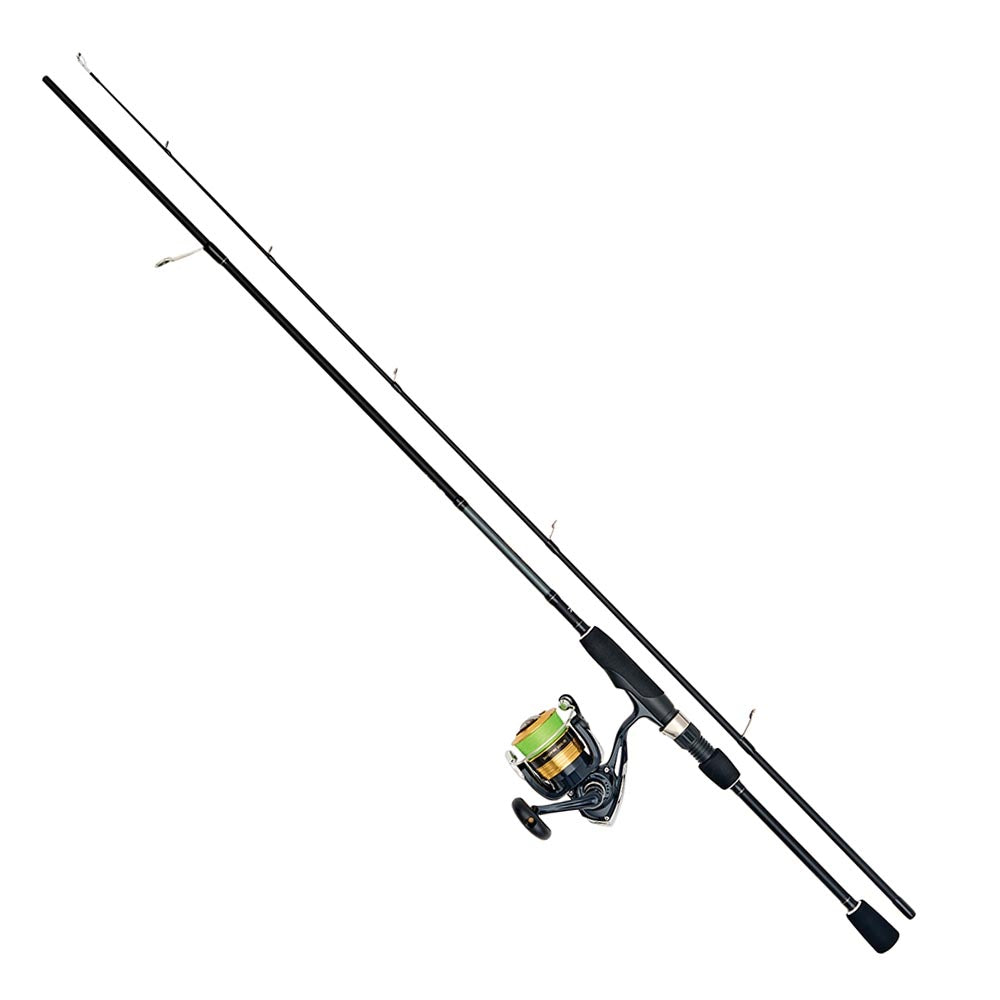 Daiwa D-Spin Sweepfire Rod & Reel Fishing Combo - 6ft6 | 5-20g | 2500 With Braid