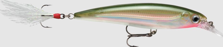 Rapala X-Rap Minnow Fishing Lures 6cm / 8cm