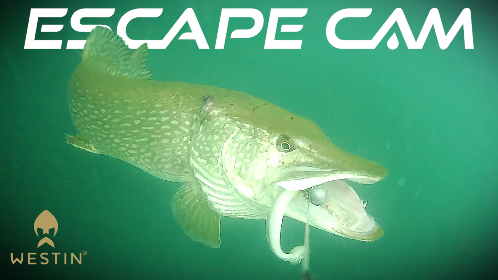 Westin Escape Cam Underwater Fishing Camera 