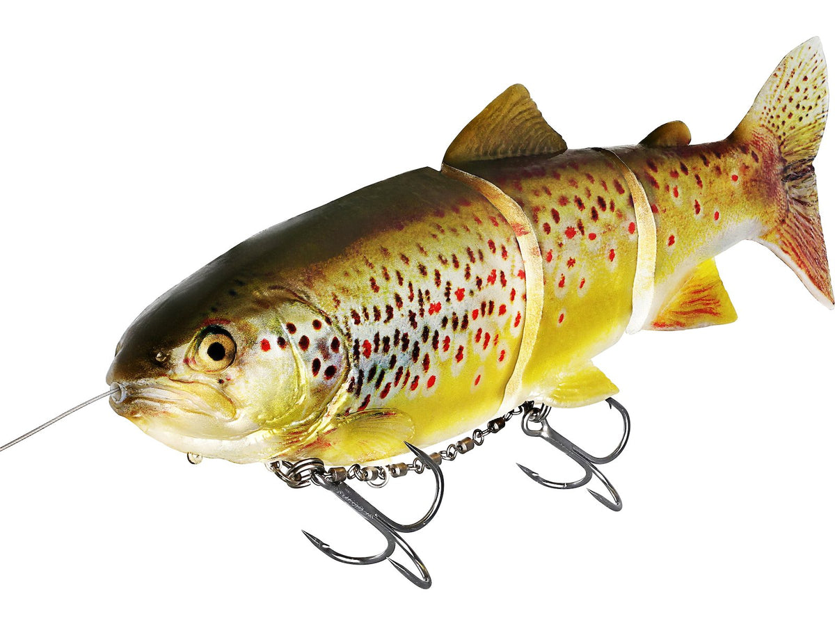 Westin Tommy the Trout Inline - 25cm | 195g | Slow Sinking - Pike Predator Lure